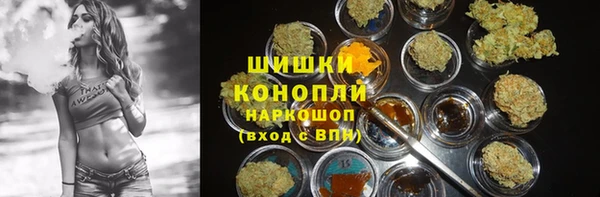 прущие грибы Балахна