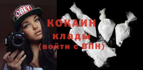 прущие грибы Балахна