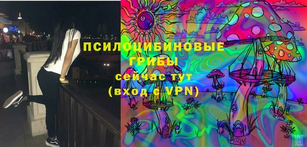 прущие грибы Балахна