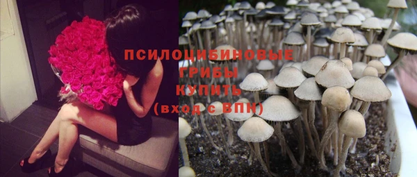 apvp Балабаново