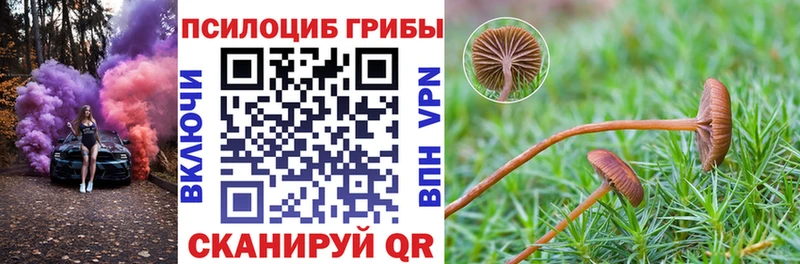 hydra сайт  Гаврилов Посад  Галлюциногенные грибы мухоморы 